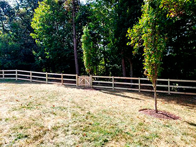 Pressure Treated Fence Laurel